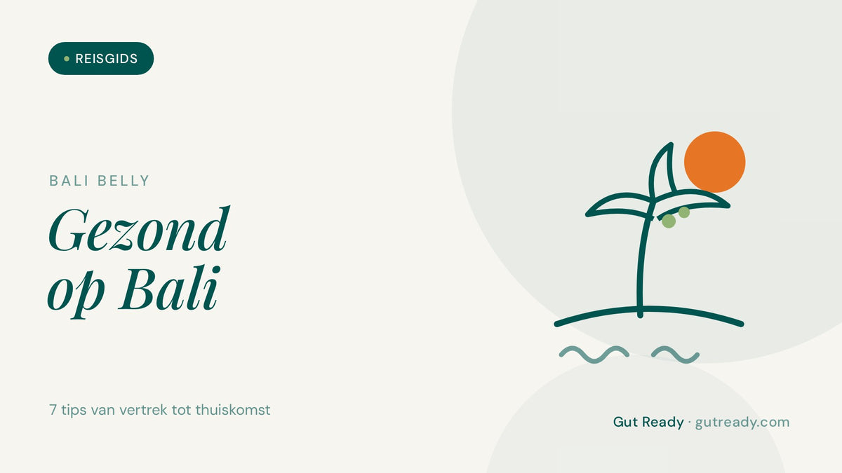 Illustratie van een palmboom en zon met de tekst Gezond op Bali, over Bali belly voorkomen