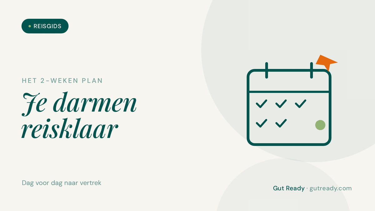 Illustratie van een kalender met afgevinkte dagen, het 2-weken plan om je darmflora voor te bereiden op vakantie